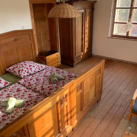 Apartmán Rodový statek Salajna - Salajna 17 Dolni Zandov Exteriér fotografie