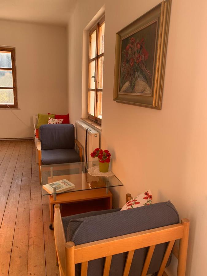 Apartmán Rodový statek Salajna - Salajna 17 Dolni Zandov Exteriér fotografie