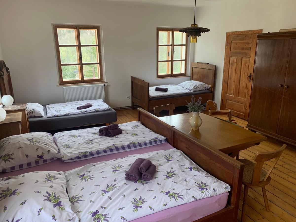 Apartmán Rodový statek Salajna - Salajna 17 Dolni Zandov Exteriér fotografie